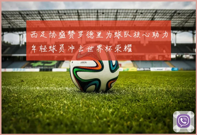 西足协盛赞罗德里为球队核心助力年轻球员冲击世界杯荣耀