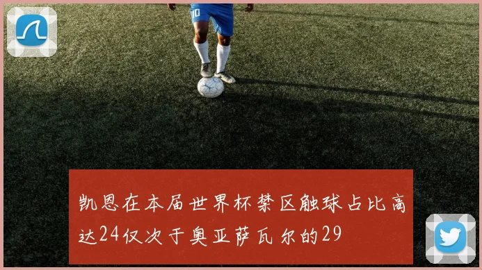 凯恩在本届世界杯禁区触球占比高达24仅次于奥亚萨瓦尔的29