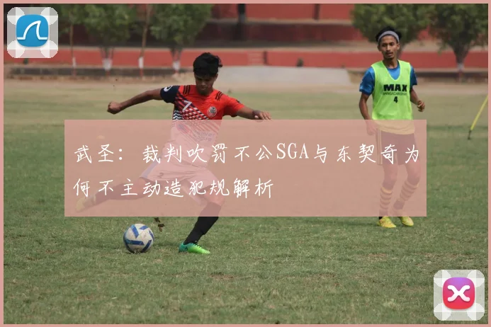 武圣：裁判吹罚不公SGA与东契奇为何不主动造犯规解析