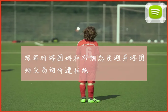 绿军对塔图姆和布朗态度迥异塔图姆交易询价遭拒绝